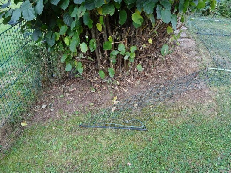 Aufbau des Elektrozauns Elektrozaun für Hunde