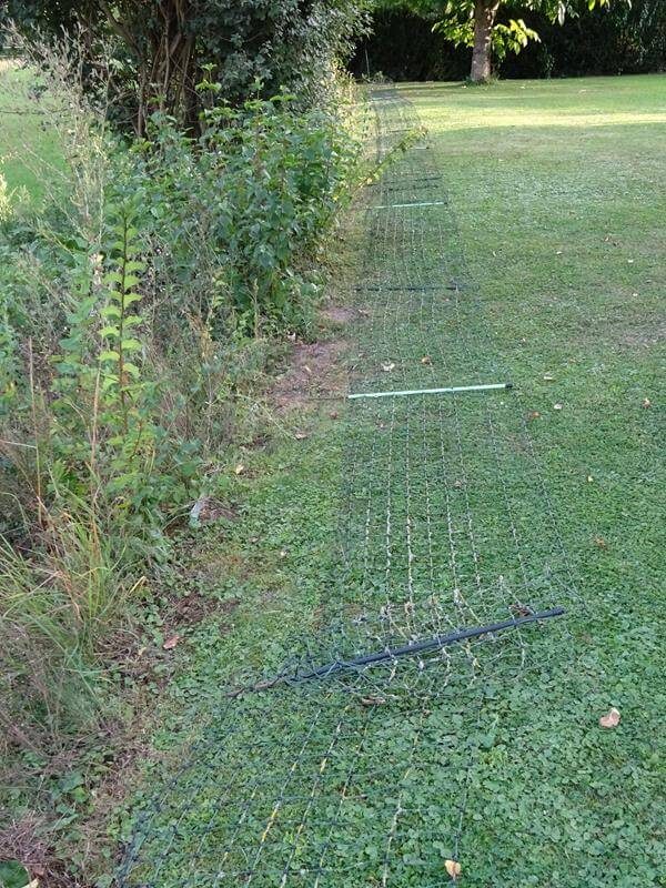 Entlang der Sträucher wird der Elektrozaun auf ca. 25 Meter ausgelegt.