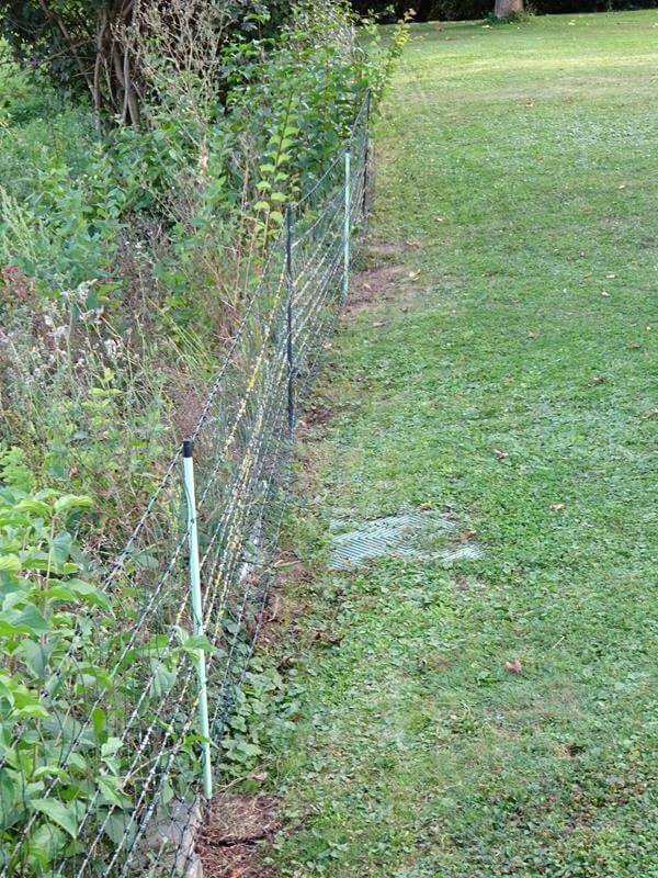 Der fertige Zaun entlang der Sträucher.
